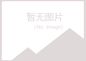 天津夏岚金属有限公司